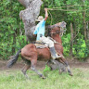 Meet your Posher, Mauricio antonio